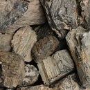 Black Forest Petrified Wood - Rough