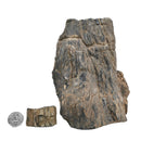 Black Forest Petrified Wood - Rough