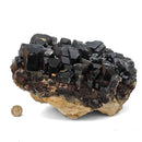 Black Barite - Specimen
