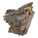 Black Barite - Specimen