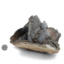 Black Barite - Specimen