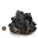 Black Barite - Specimen