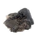 Black Dogtooth Calcite - Mineral Specimen