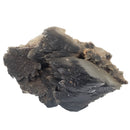 Black Dogtooth Calcite - Mineral Specimen