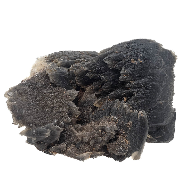 Black Dogtooth Calcite - Mineral Specimen