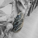Black Moonstone - Polished Cut Base - Statement Specimen