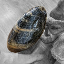 Black Moonstone - Polished Cut Base - Statement Specimen