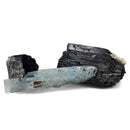 Black Tourmaline with Aquamarine (Beryl) - Specimen