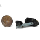 Black Tourmaline with Aquamarine (Beryl) - Specimen