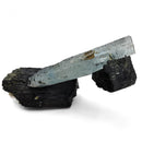 Black Tourmaline with Aquamarine (Beryl) - Specimen