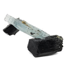 Black Tourmaline with Aquamarine (Beryl) - Specimen