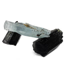 Black Tourmaline with Aquamarine (Beryl) - Specimen