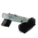 Black Tourmaline with Aquamarine (Beryl) - Specimen