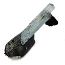 Black Tourmaline with Aquamarine (Beryl) - Specimen