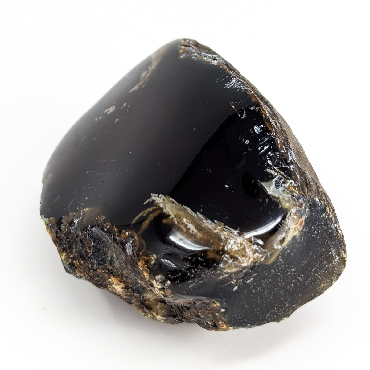 Blue Amber polished face fossil from Indonesia.