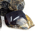 Blue Amber - Polished Face - Fossil