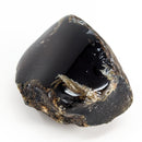 Blue Amber - Polished Face - Fossil