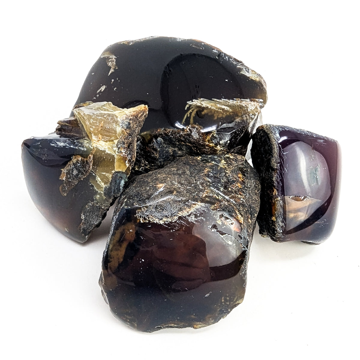 Blue Amber polished face fossil from Indonesia.