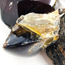 Blue Amber - Polished Face - Fossil