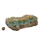 Blue Aragonite - Pakistan