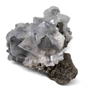 Blue Barite on Pyrite - Specimen
