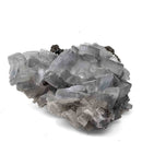 Blue Barite on Pyrite - Specimen