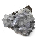 Blue Barite on Pyrite - Specimen