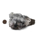 Blue Barite on Pyrite - Specimen