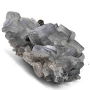 Blue Barite on Pyrite - Specimen