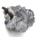 Blue Barite on Pyrite - Specimen
