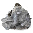 Blue Barite on Pyrite - Specimen
