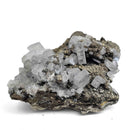 Blue Barite on Pyrite - Specimen