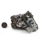 Blue Barite on Pyrite - Specimen