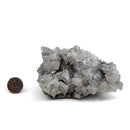 Blue Barite on Pyrite - Specimen