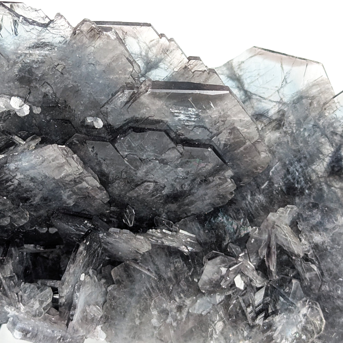Blue Barite specimen, barium sulfate, from Cavnic Mine, Cavnic, Maramureș County, Romania.