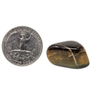 Blue Tiger's Eye (Hawk's Eye) - Tumble - South Africa - Root, Sacral, Solar Plexus Chakra