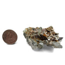 Brookite on Quartz - Specimen