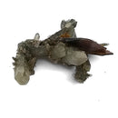 Brookite on Quartz - Specimen