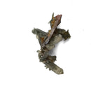 Brookite on Quartz - Specimen