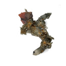 Brookite on Quartz - Specimen