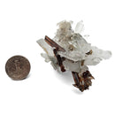 Brookite on Quartz - Specimen