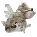 Brookite on Quartz - Specimen