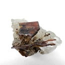 Brookite on Quartz - Specimen