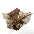 Brookite on Quartz - Specimen