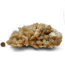 Barite - Mineral Specimen