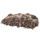 Pyrite on Dog Tooth Calcite - Specimen