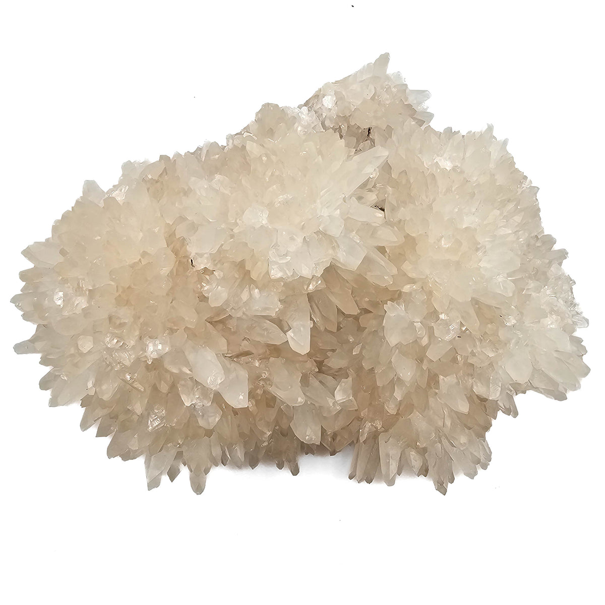 Calcite specimen, calcium carbonate, from Rembang area, Central Java, Indonesia.
