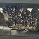 Calcite on Smoky Quartz - On Stand - Statement Specimen - Romania