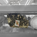Calcite on Smoky Quartz - On Stand - Statement Specimen - Romania