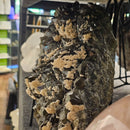 Calcite on Smoky Quartz - On Stand - Statement Specimen - Romania